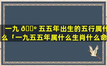 一九 🐺 五五年出生的五行属什么「一九五五年属什么生肖什么命」